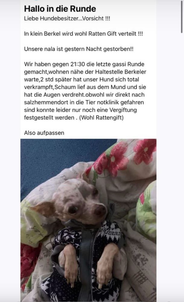 Giftköder-Rattengift-Profilbild