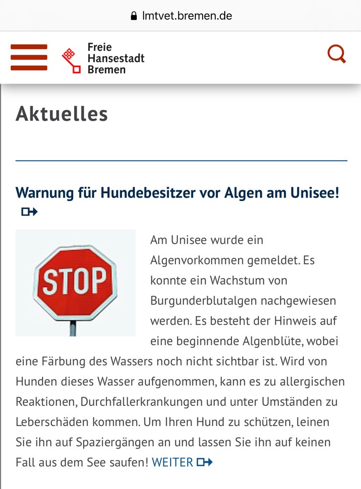 Giftköder-Unisee 
Burgunderblutalgen-Profilbild