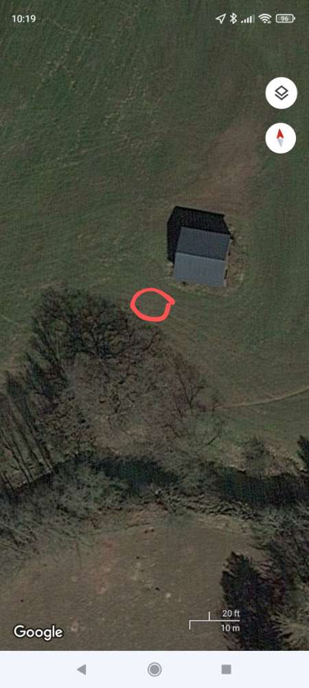 Giftköder-Erdwespen-Profilbild