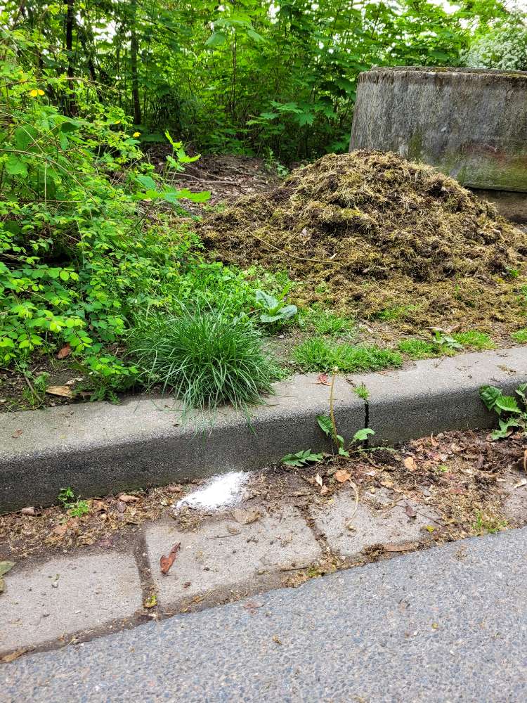 Giftköder-Möglicher Birkenzucker-Profilbild