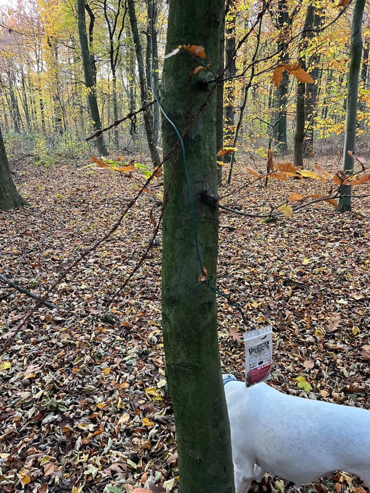 Giftköder-Giftköder / Stacheldraht-Profilbild