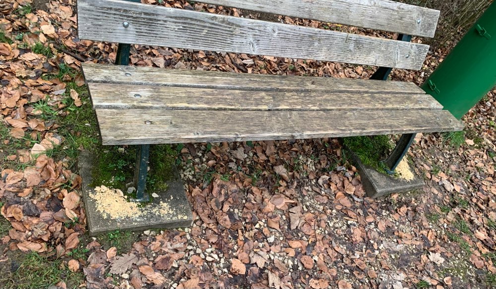 Giftköder-Ausgelegtes Vogelfutter (Giftköder?)-Profilbild