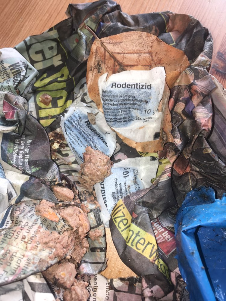 Giftköder-Giftköder Rattengift + Wurst in Zeitung-Profilbild