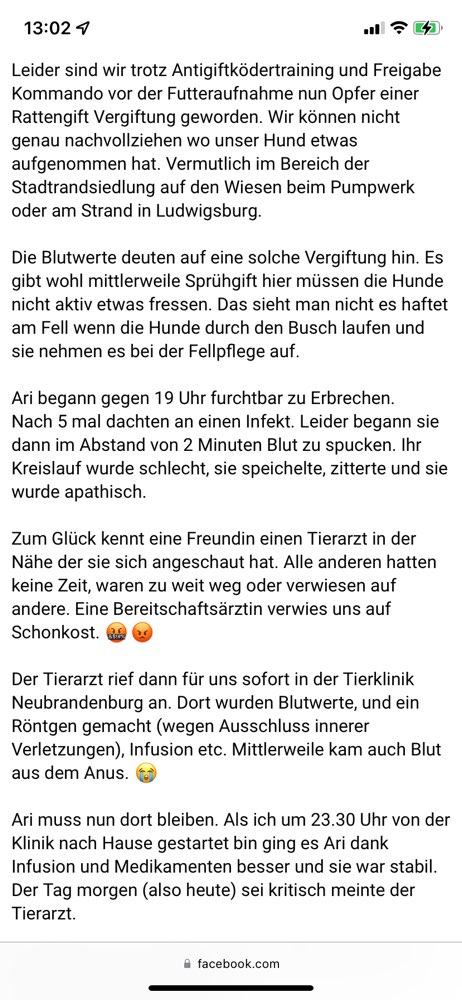 Giftköder-Rattengift - verletzter Hund-Profilbild