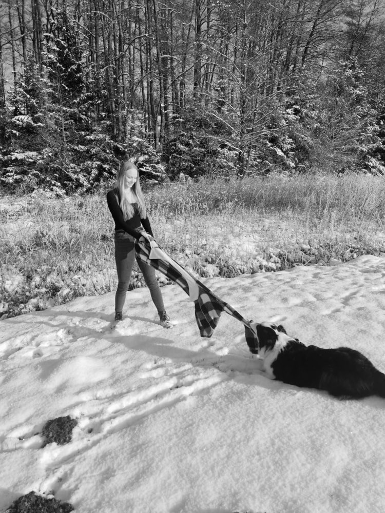 Hundetreffen-Spiel & Spaß🐕-Profilbild