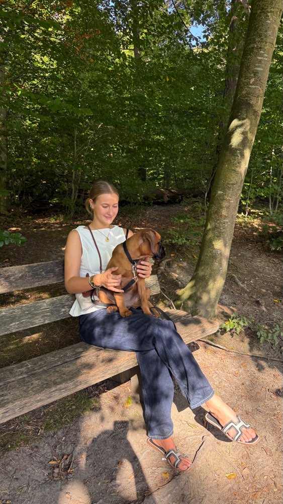 Hundetreffen-Welpentreffen / Spielrunde-Profilbild