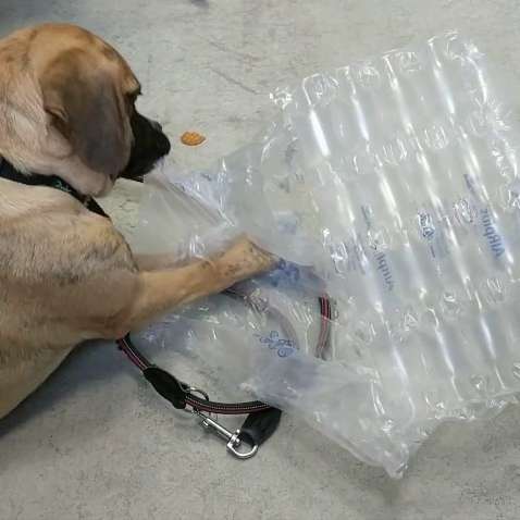 149. Video Wettbewerb Banner