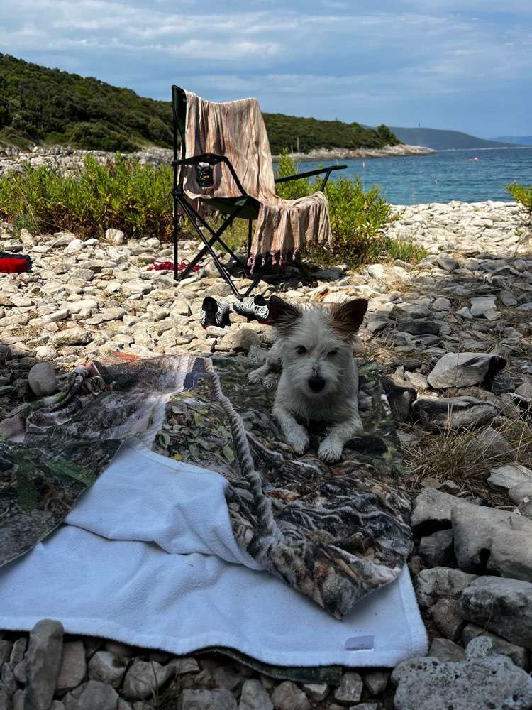 👙🤿 Dogorama Photo Challenge: am Strand Banner