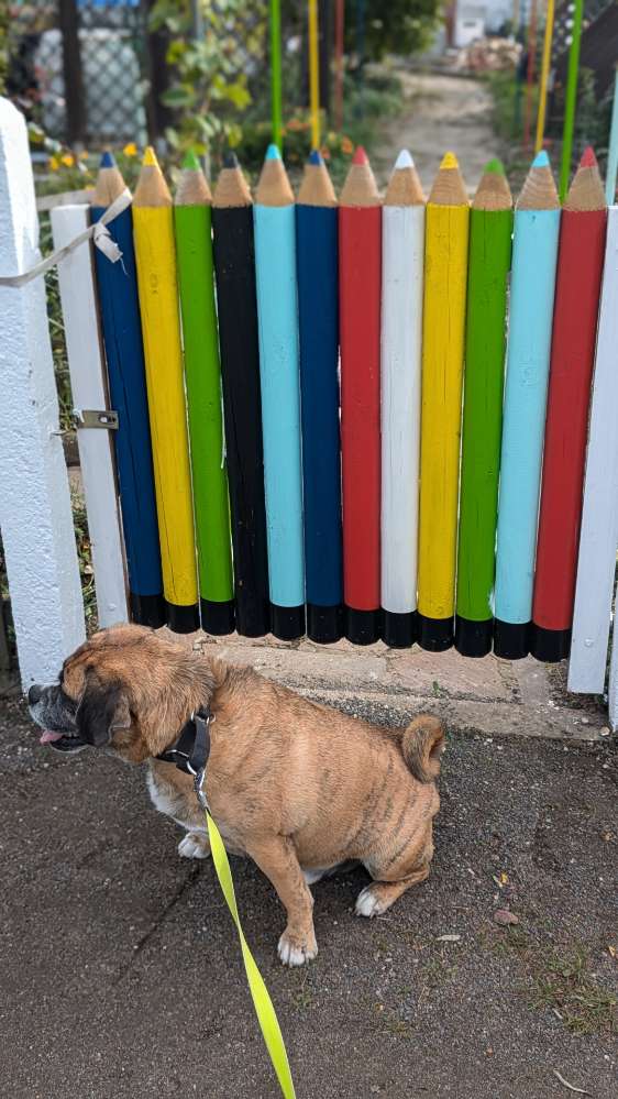 150. Farbenchallenge Banner