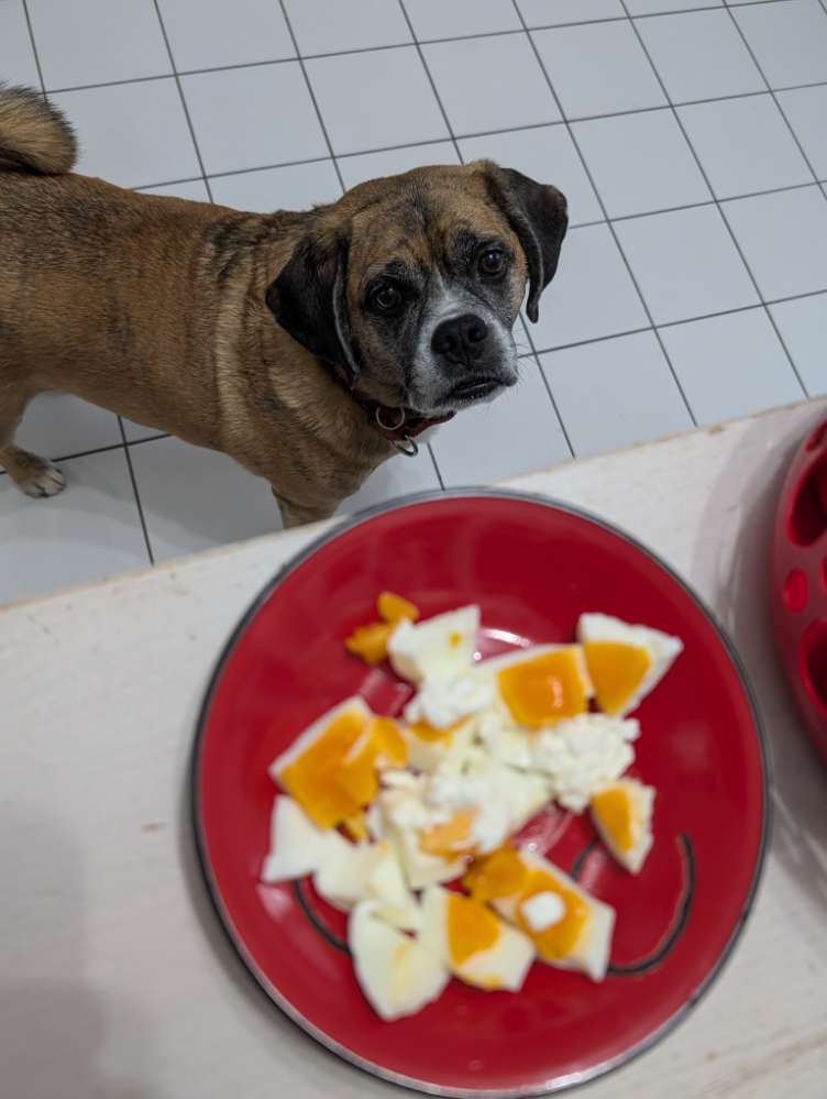 139. Farben Challenge Banner