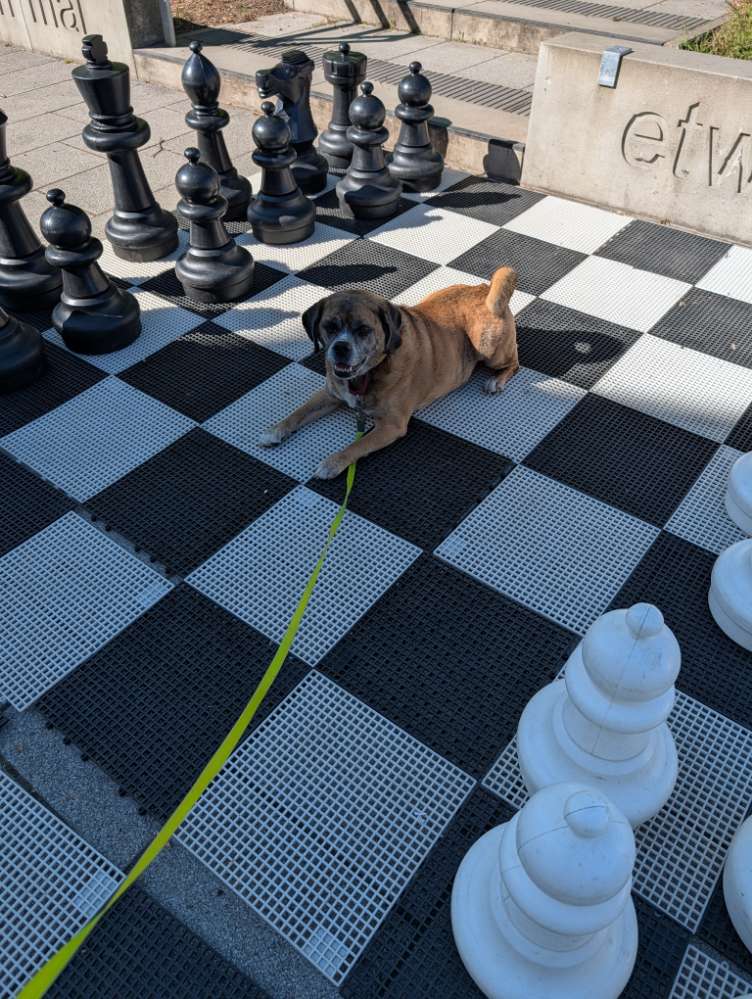 157. Farbenchallenge Banner