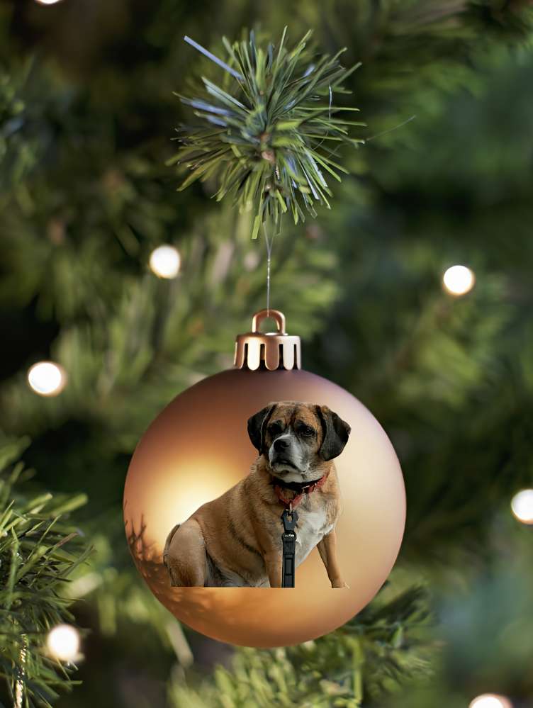 93. Fotomontage ohne KI 👾 Banner