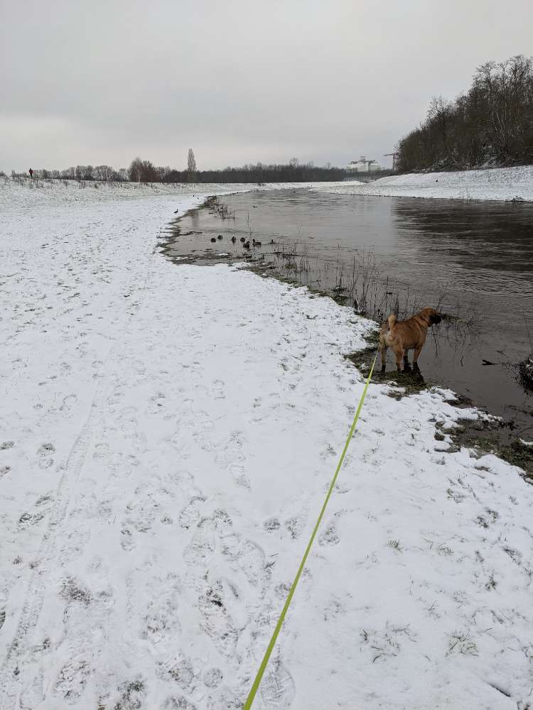 177. Handy Foto Challenge Banner