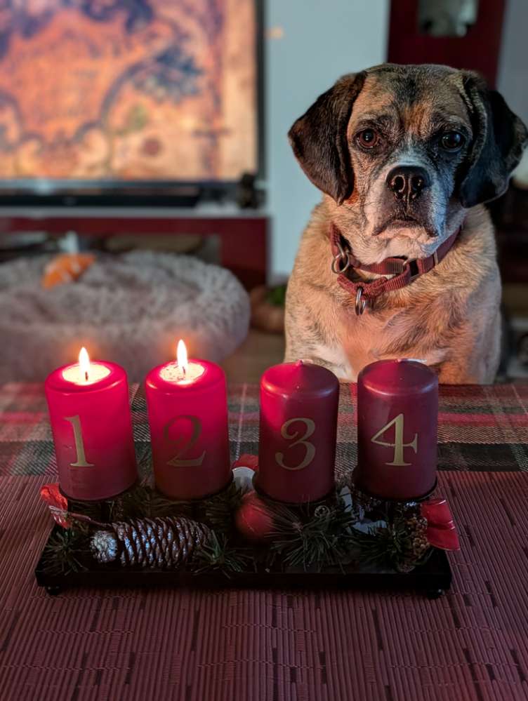 175. Handy Foto Challenge Banner