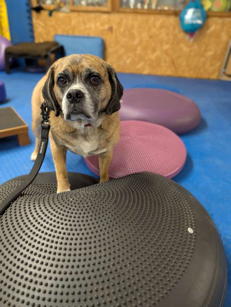 261. Fotochallenge Banner