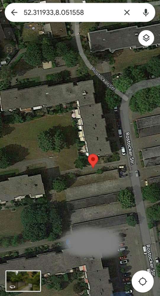 Giftköder-Wahrscheinlich Gras/Erdwespen !!!-Profilbild