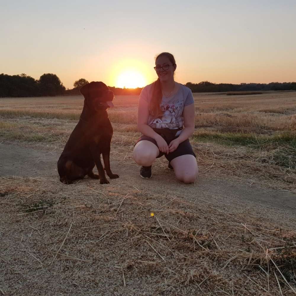 Hundetreffen-Trainingspartner gesucht-Profilbild