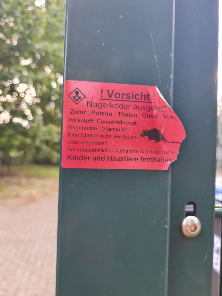 Giftköder-Evtl. Rattengift-Profilbild