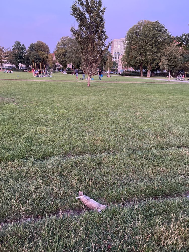 Giftköder-Totes Kaninchen-Profilbild