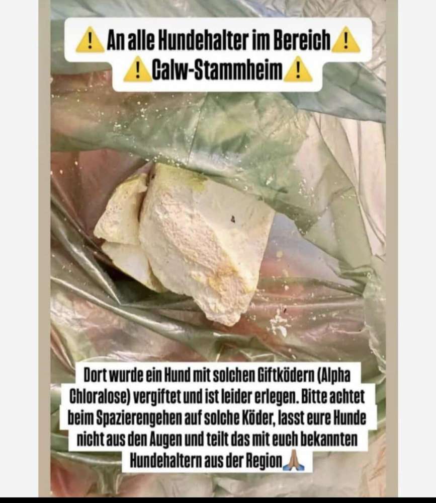 Giftköder-Rattengiftköder-Profilbild