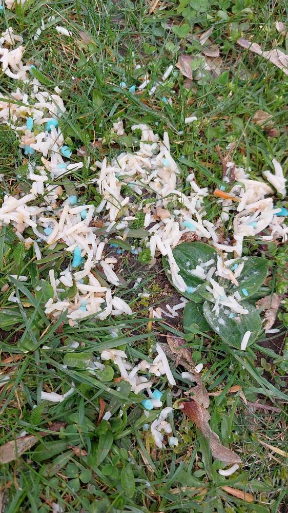 Giftköder-vermutlicher Giftköder-Profilbild