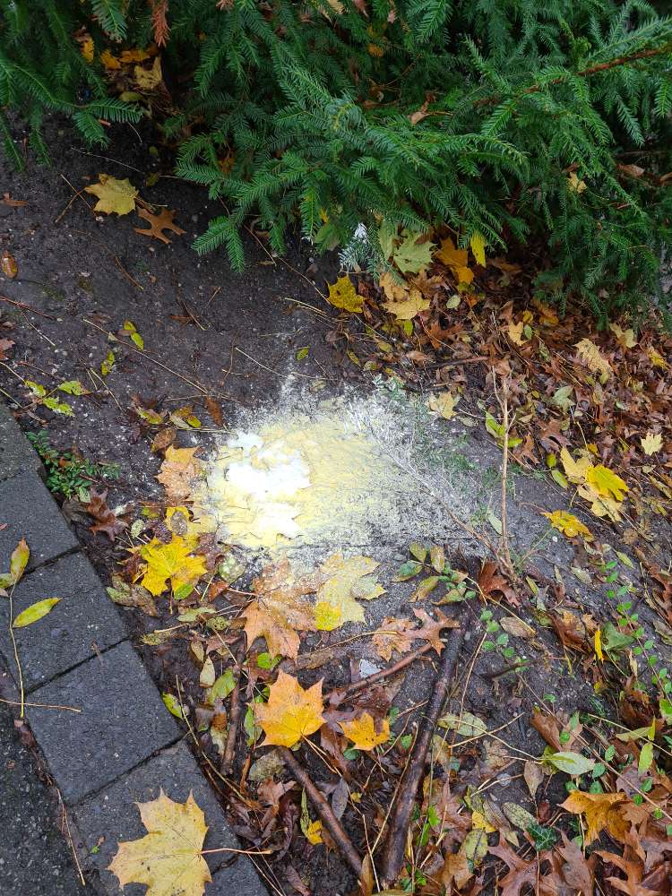 Giftköder-Weißes Pulver-Profilbild