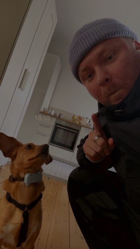 Hundetreffen-Spazier und Flitzpartner gesucht-Profilbild