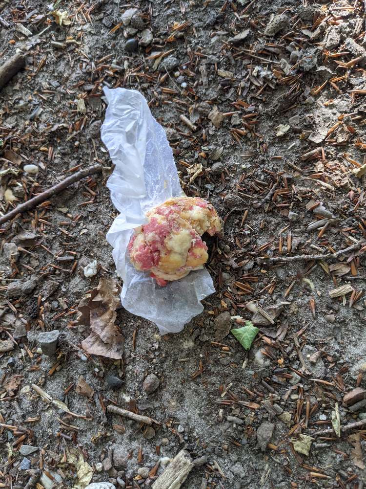 Giftköder-Vermutlich Giftköder-Profilbild