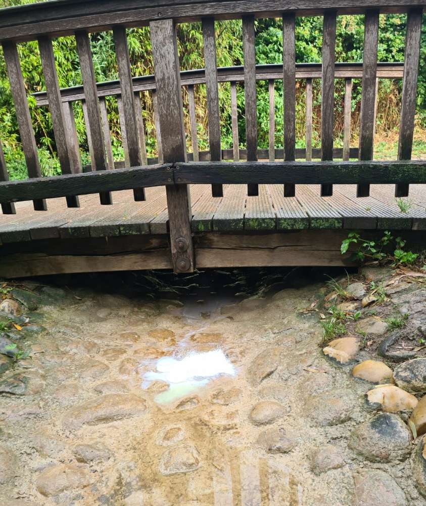 Giftköder-Weißes Pulver-Profilbild