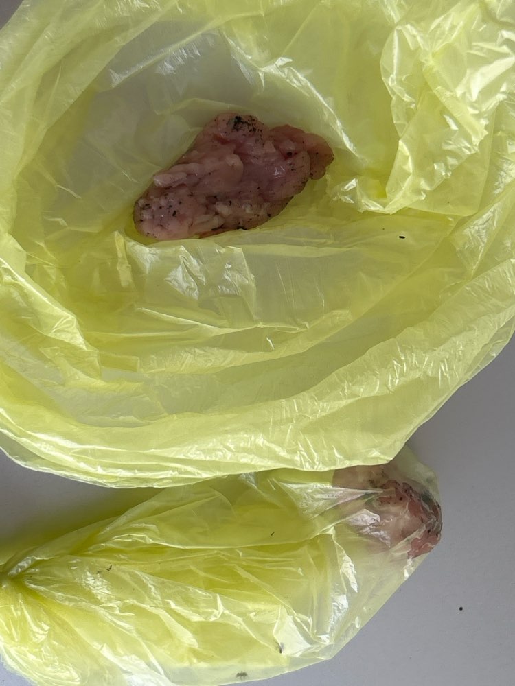 Giftköder-Ev. Giftköder-Profilbild