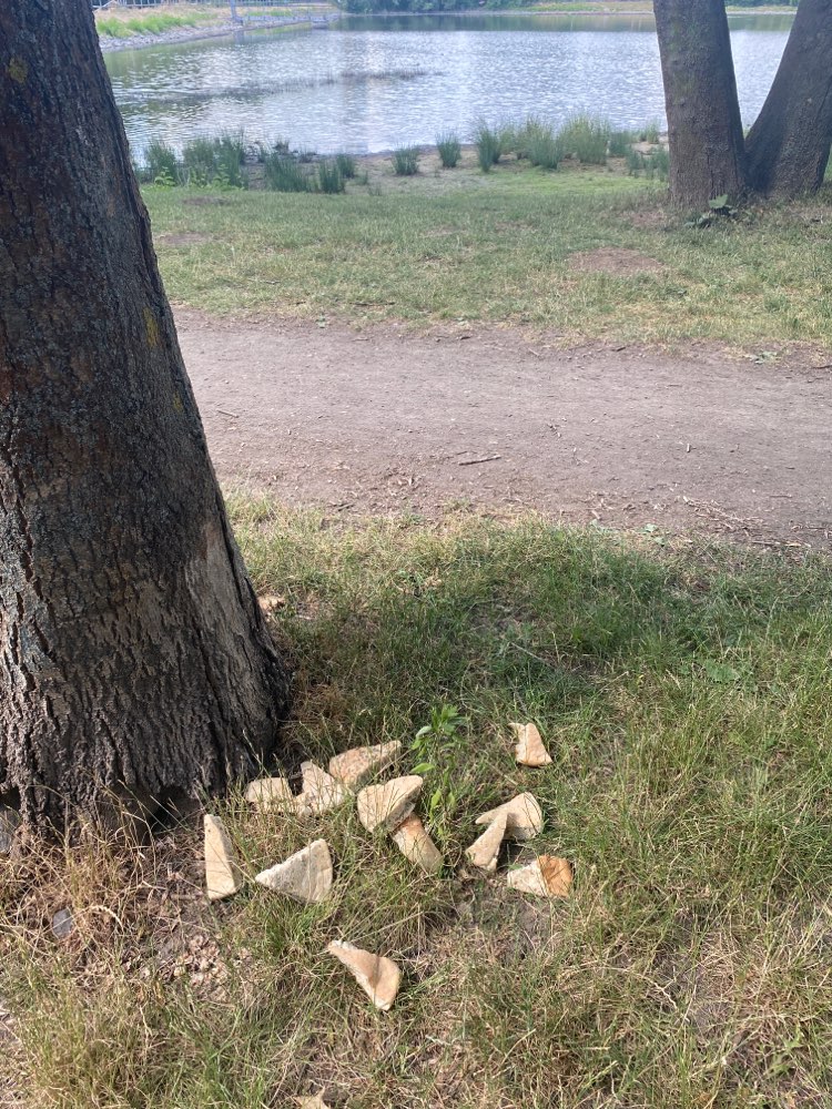 Giftköder-Ausgelegtes Brot-Profilbild