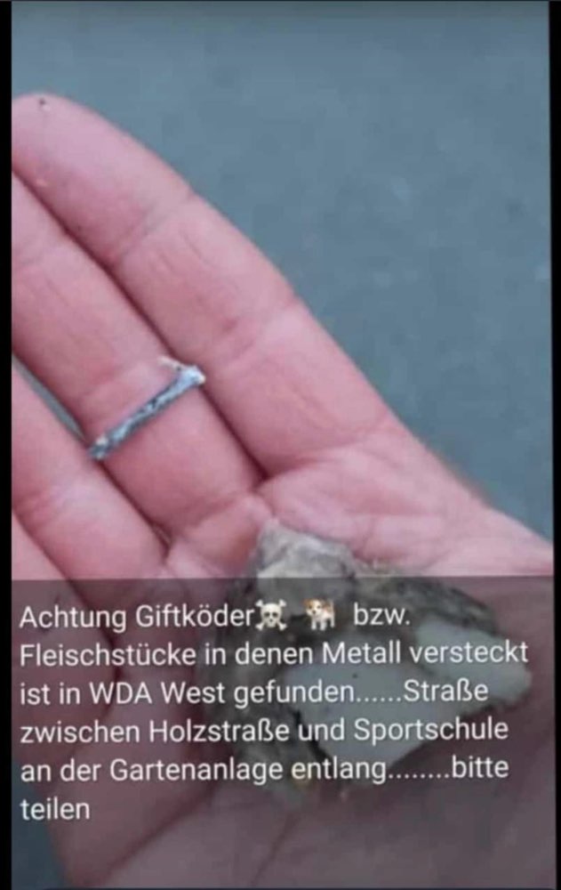 Giftköder-Giftköder-Profilbild