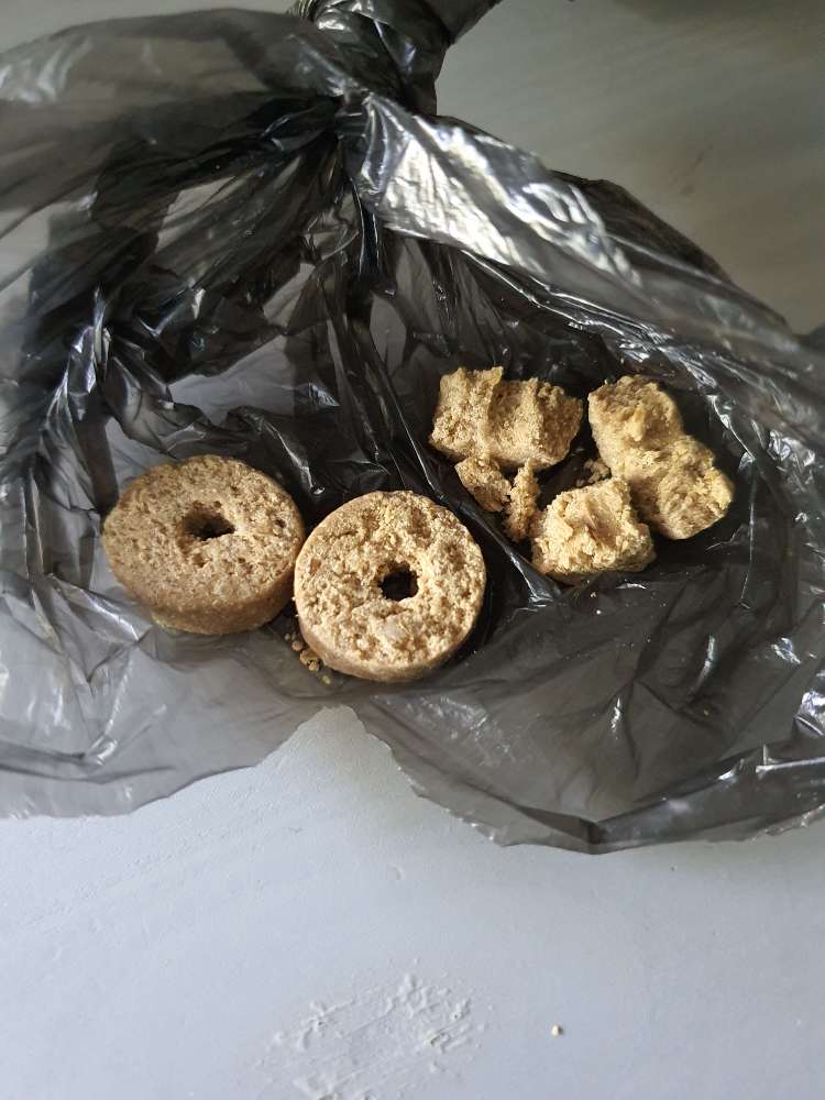 Giftköder-Eventuelle Giftköder-Profilbild