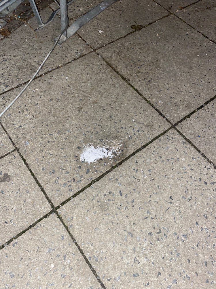 Giftköder-Weißes Granulat-Profilbild