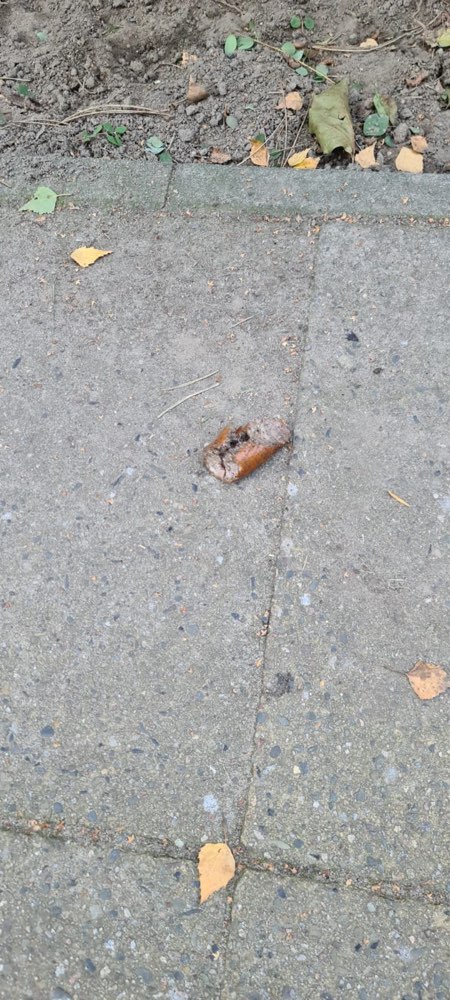 Giftköder-Würstchen mit Gift-Profilbild