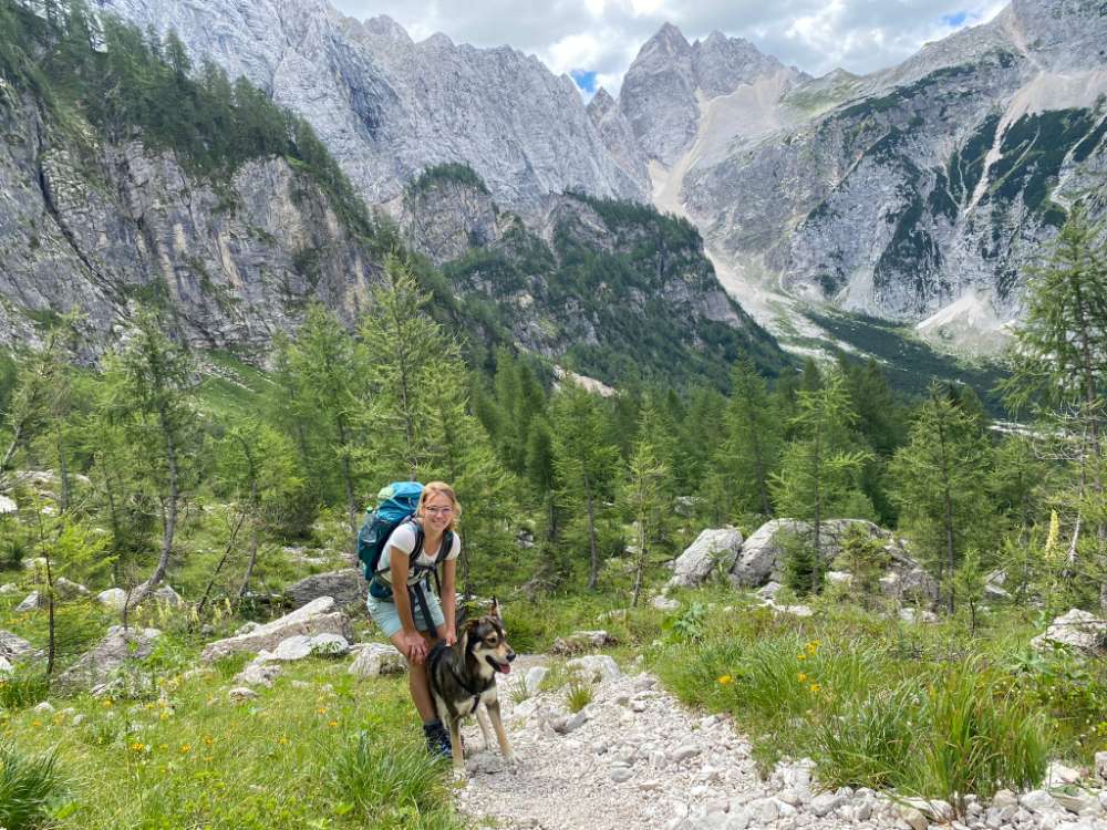 Hundetreffen-Gebirgswanderung mit Hund-Profilbild