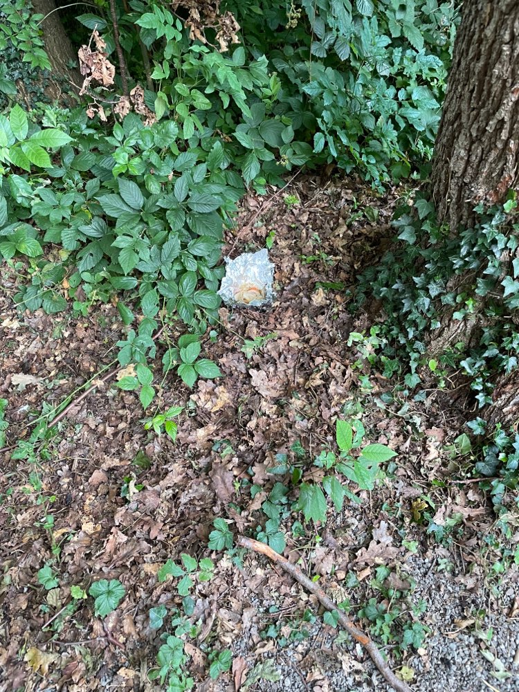 Giftköder-Offene Alufolie mit Essen-Profilbild