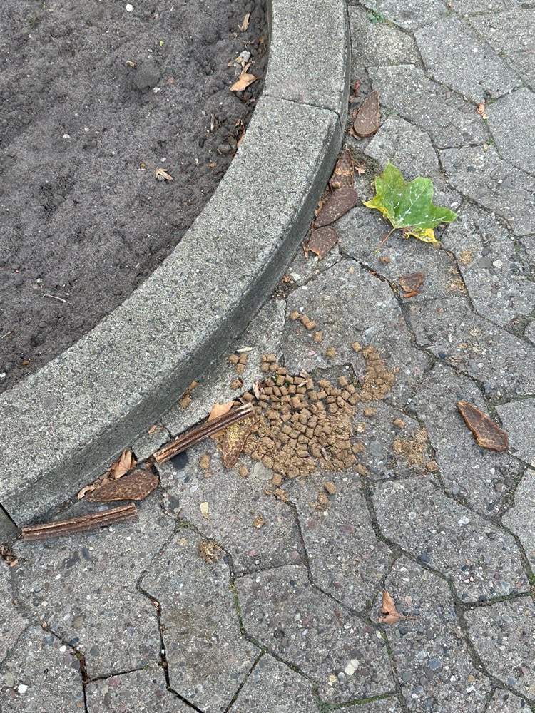 Giftköder-Trockenfutter und Leckerlie-Profilbild