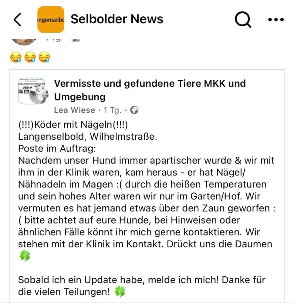 Giftköder-Nägel über den Zaun geworfen-Profilbild