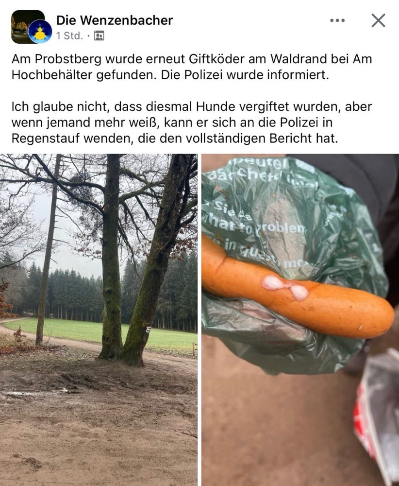 Giftköder-Giftköder-Profilbild