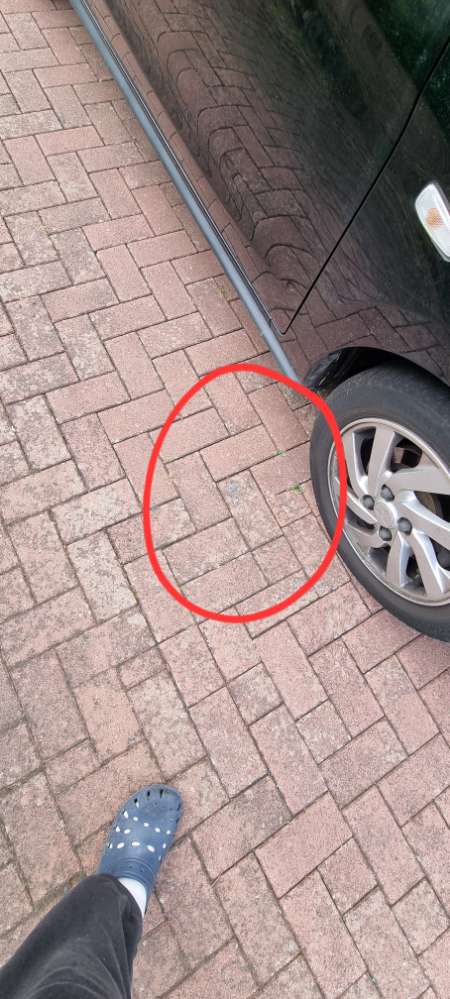 Giftköder-Blaue Substanzen wiederholt am Gehweg-Profilbild