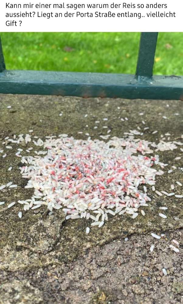 Giftköder-GIFTKÖDER-Profilbild