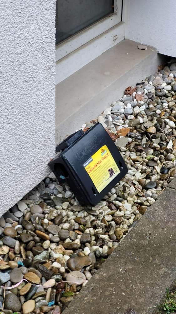 Giftköder-Box mit Rattengift-Profilbild