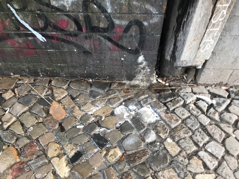 Giftköder-White powder under walkway bridge-Profilbild