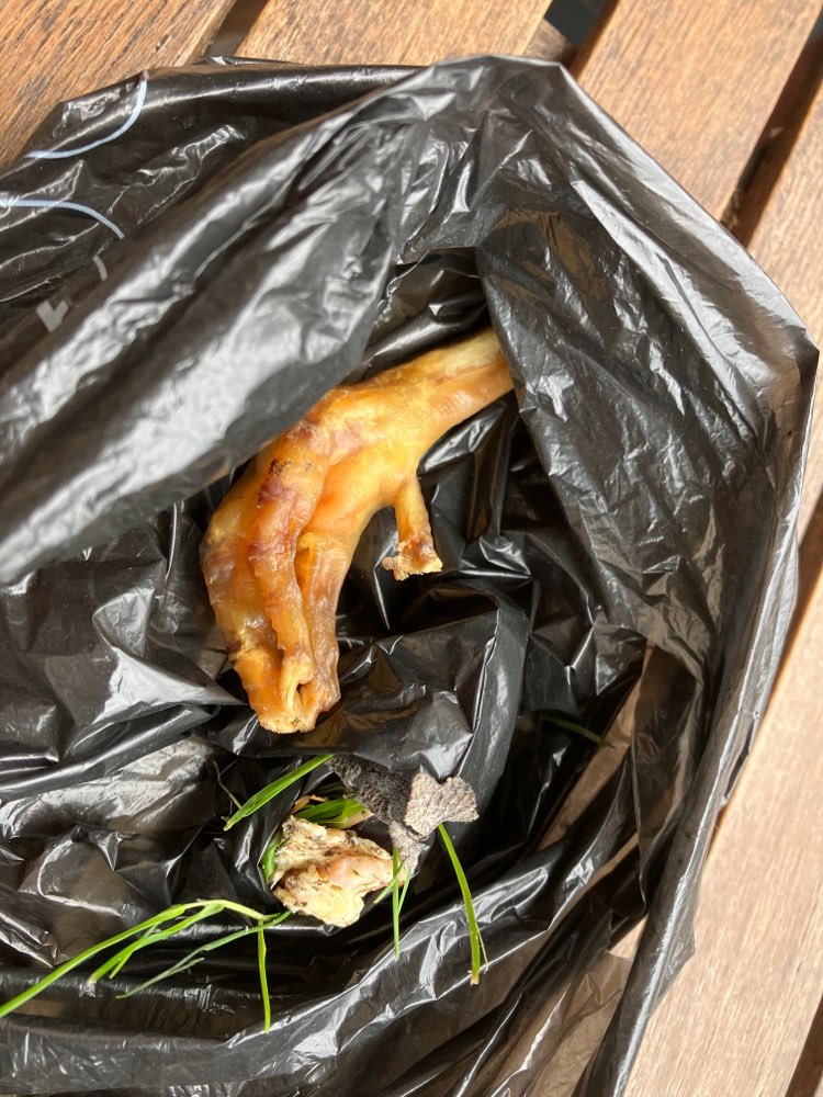 Giftköder-Hühnerteile Evtl. Giftköder-Profilbild