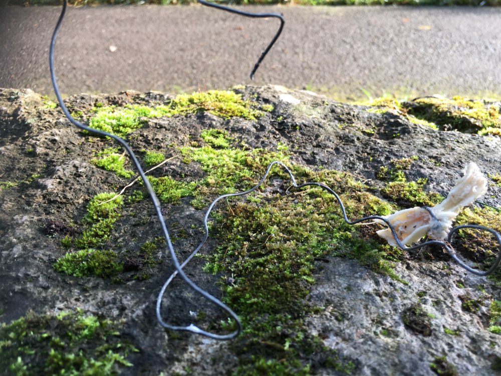 Giftköder-Mit Draht umwickeltes Hühnerfleisch-Profilbild