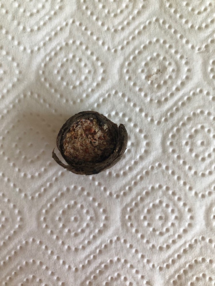 Giftköder-Möglicher Giftköder in Feuerbach-Profilbild