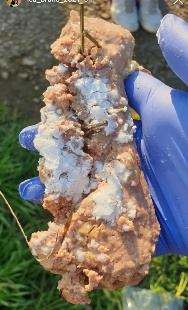 Giftköder-Giftköder-Profilbild