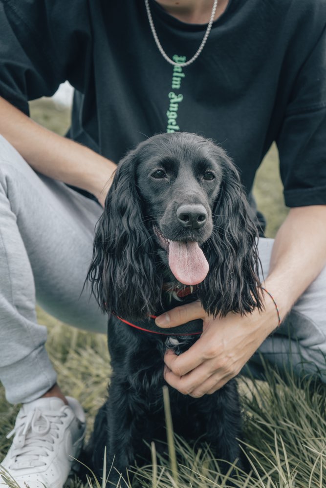 Hundetreffen-Spielrunde-Profilbild