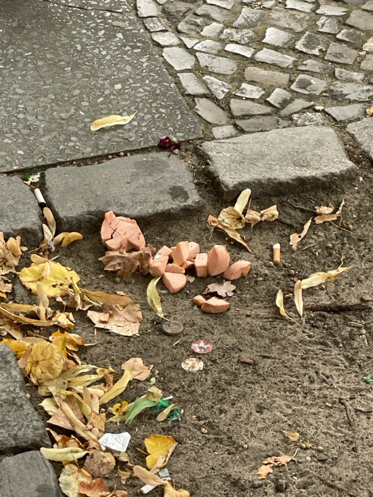 Giftköder-Ganz viele Wurststücke am Baum-Profilbild